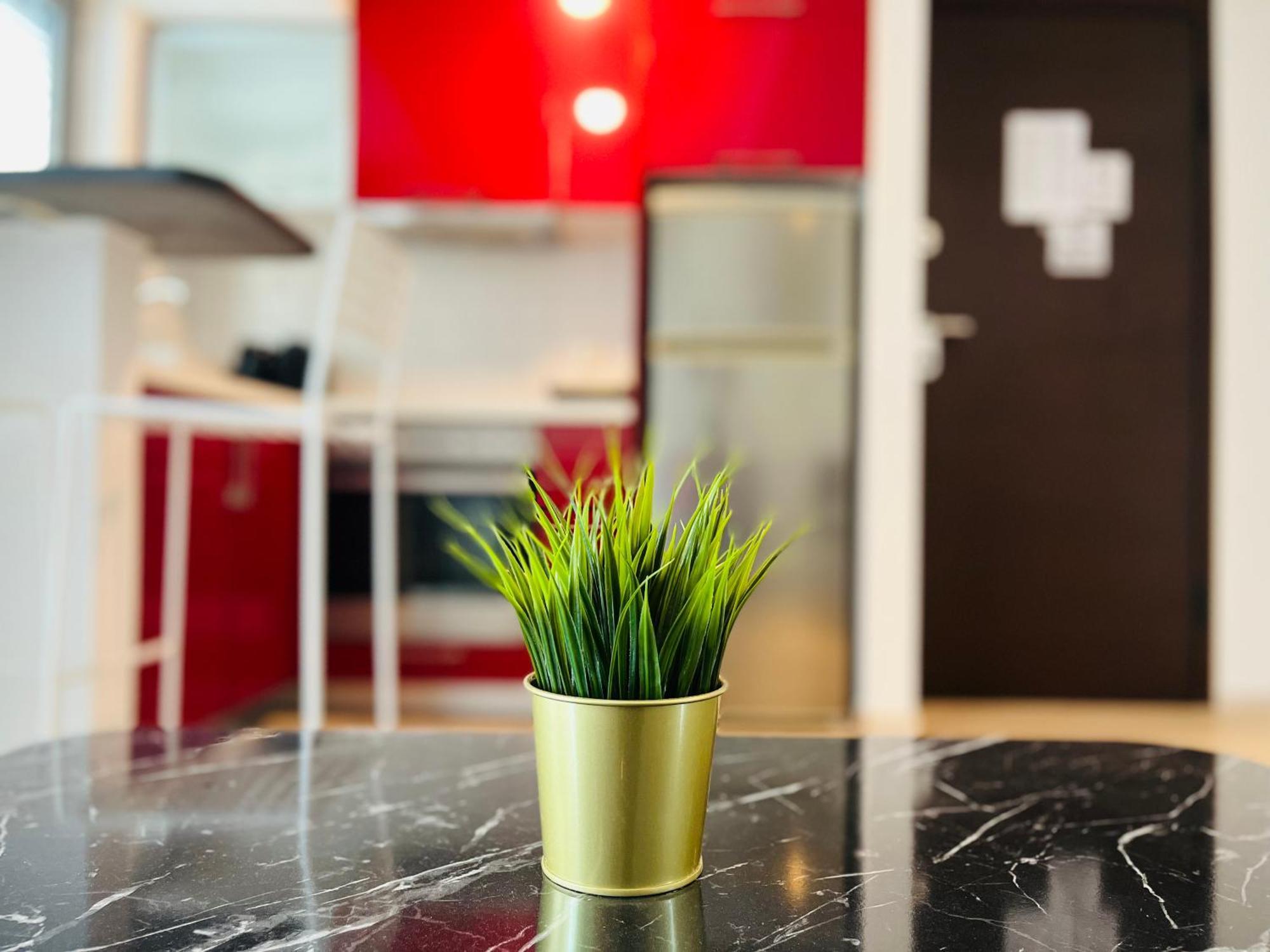 Elvita Apartments Atina Dış mekan fotoğraf